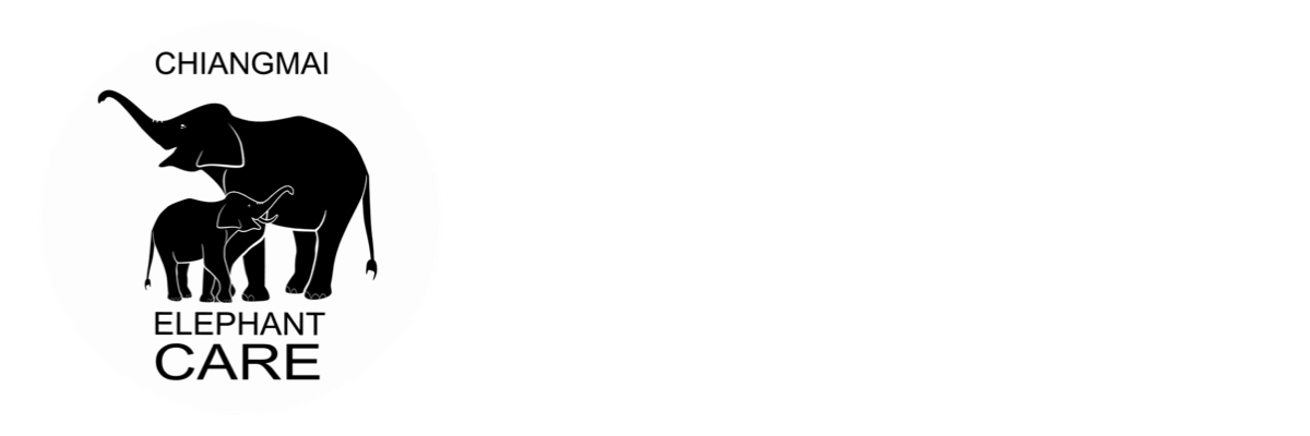 Chiangmai Elephant Care